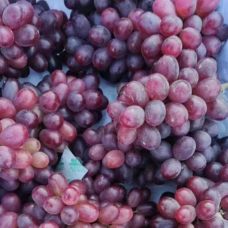 阳光玫瑰葡萄饶阳县克伦生大量出库15一筐，质量好。