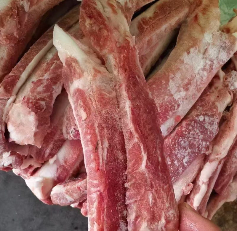 母猪肋排条新货