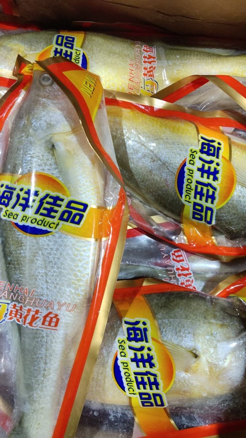 大黄鱼