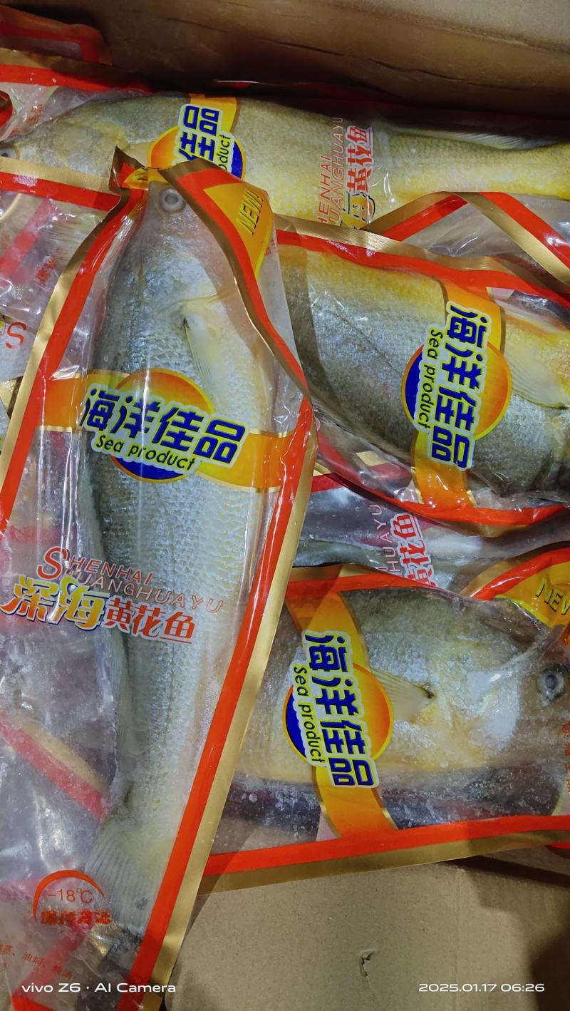 大黄鱼
