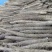 麻山药
