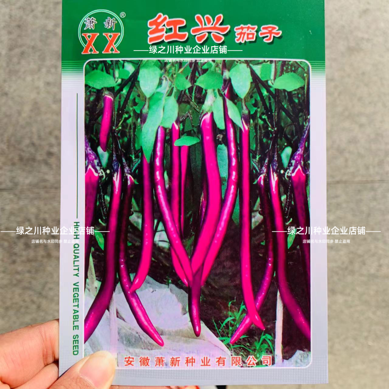 紫龙线茄种子长茄种子早熟耐寒紫红油亮杭茄茄子种子香糯柔嫩