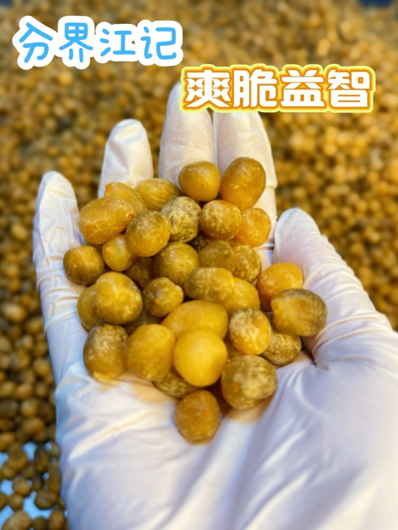 【诚信卖家】分界江记爽脆益智糖果蜜饯欢迎选购