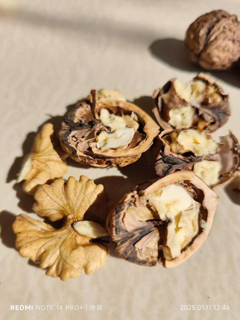 薄皮核桃