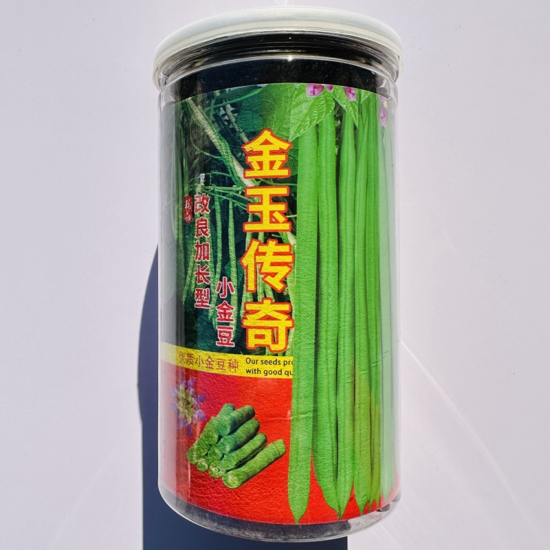 金玉传奇小金豆种子高产早熟四季豆种子云南小嫩豆种子红花