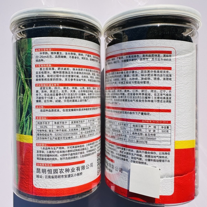 金玉传奇小金豆种子高产早熟四季豆种子云南小嫩豆种子红花