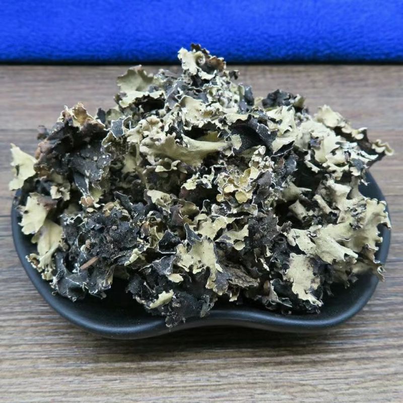 中药材石花1公斤.乳花石衣石苔花地衣