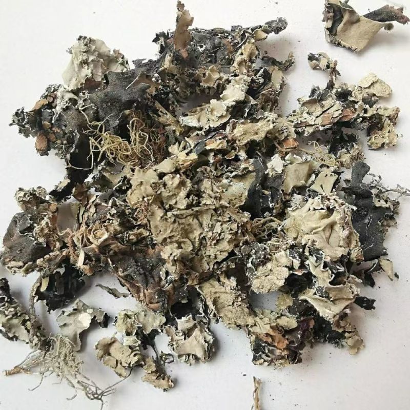 中药材石花1公斤.乳花石衣石苔花地衣