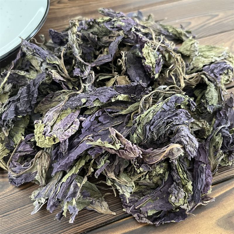 新鲜紫苏叶等你来尝超高性价比欢迎电话咨询