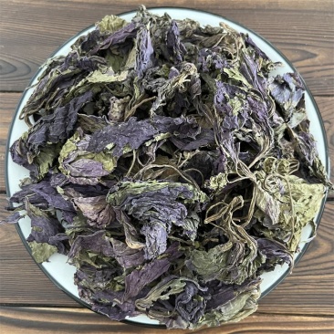 新鲜紫苏叶等你来尝超高性价比欢迎电话咨询