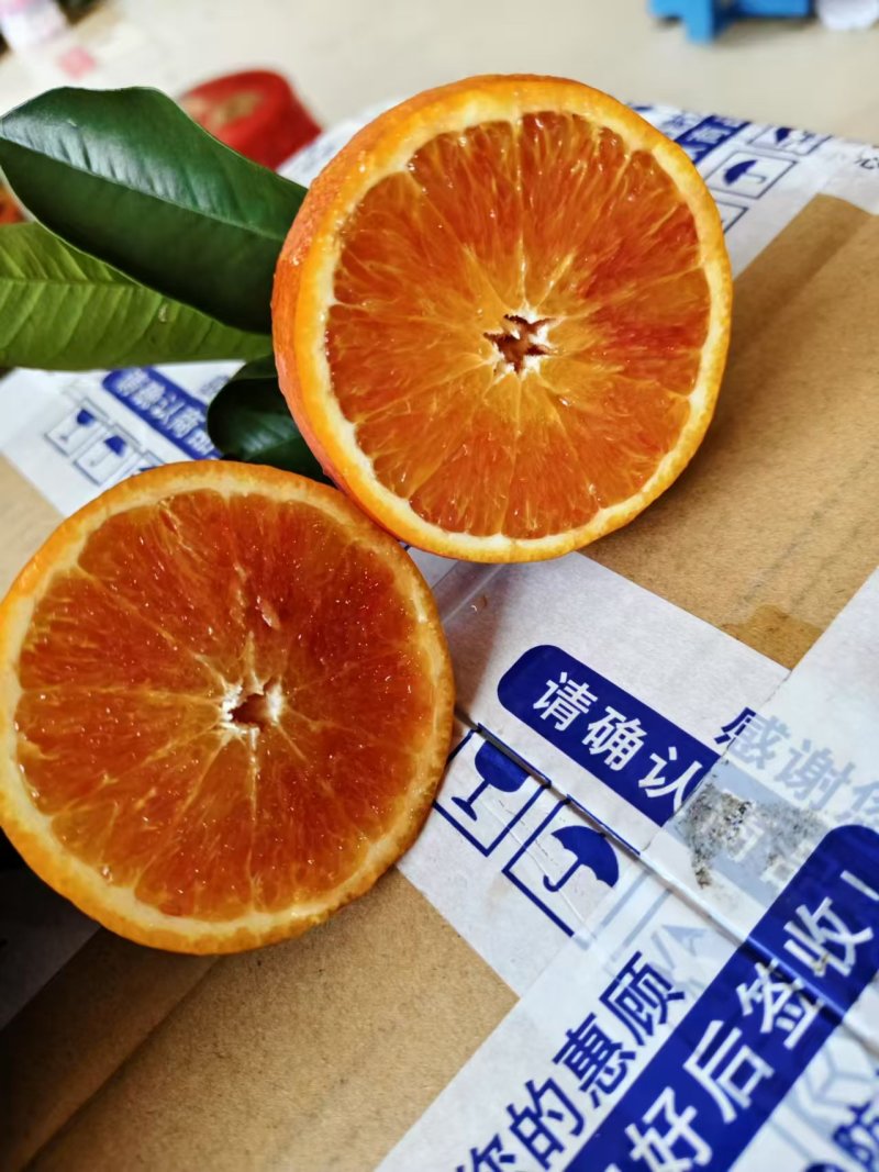 血橙