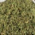 野生伸筋草1公斤舒筋草通筋草正品中草药中药材泡脚无硫新鲜