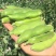 【牛商推荐】新鲜蔬菜蚕豆胡豆大量上市无虫眼质量保证
