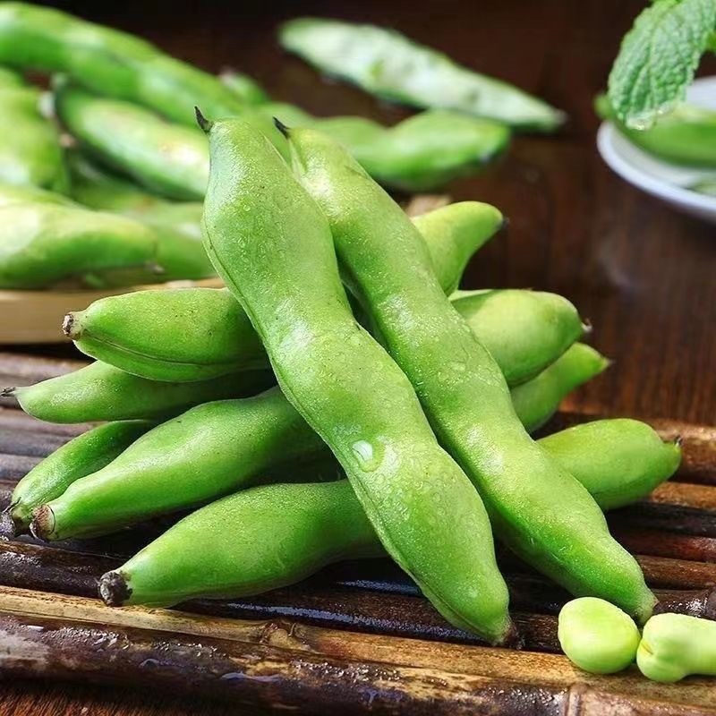 云南大理新鲜蚕豆无虫眼质量保证价格合理