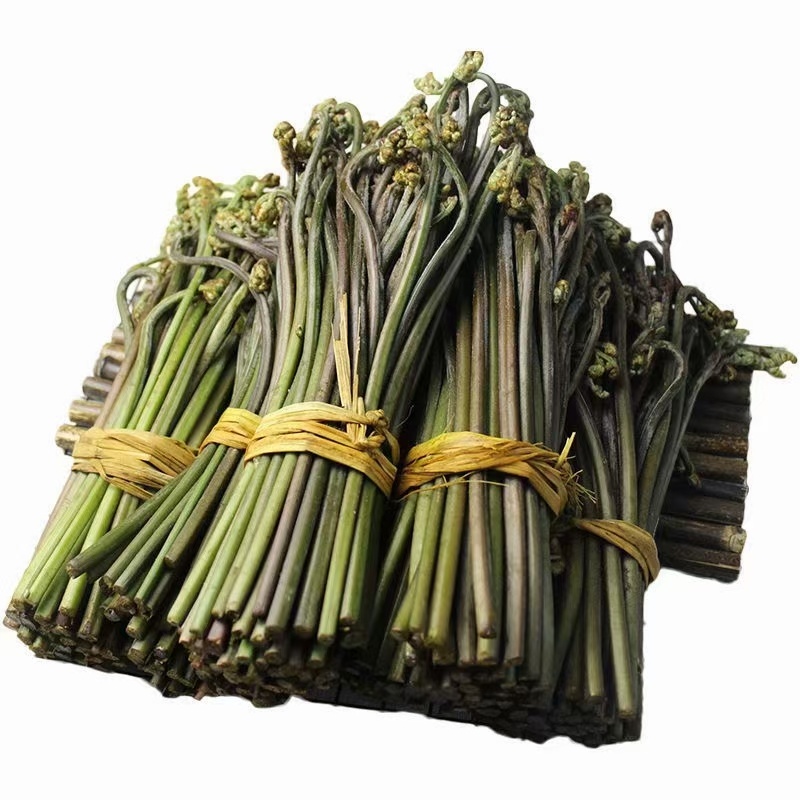 新鲜蕨菜，品质佳，货量充足，欢迎咨询