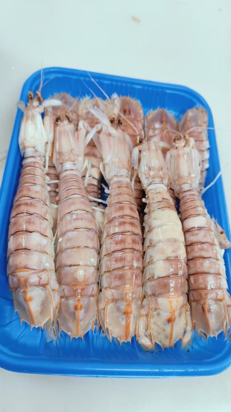 只只带膏皮皮虾