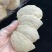 大盏米到货只要9块钱