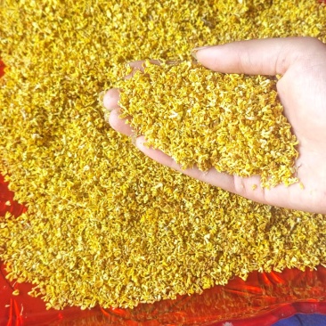 干桂花，一手货源，现货直发，支持市场，商超，电商代发