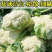 【实力推荐】湖北花菜/松花菜/青梗小米花菜/产地直发/