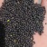 内蒙油菜籽一手货源质量保证，量大从优，视频看货对接全国