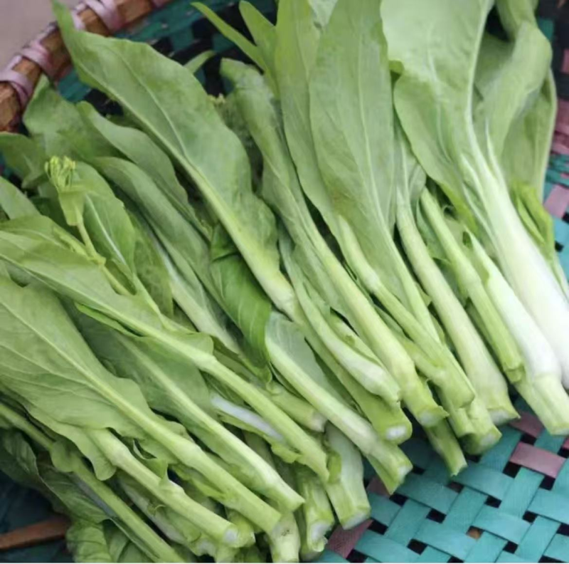 【实力推荐】湖北精品菜苔/白菜苔/产地直发/