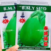 绿罐茄子种子秦蔬绿茄种子春季蔬菜种籽早熟绿皮茄子卵圆型茄