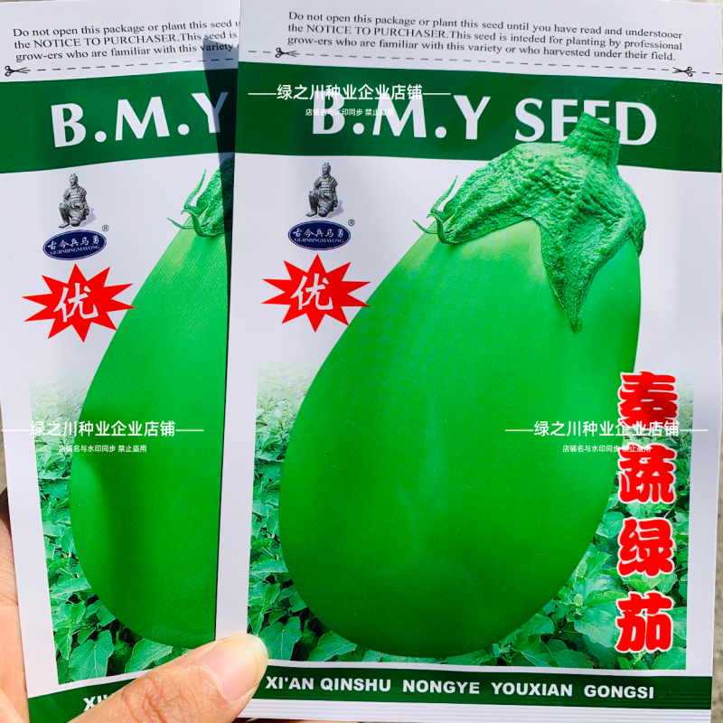 绿罐茄子种子秦蔬绿茄种子春季蔬菜种籽早熟绿皮茄子卵圆型茄