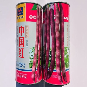 中国红中早熟紫红芸豆种籽丰产菜豆基地