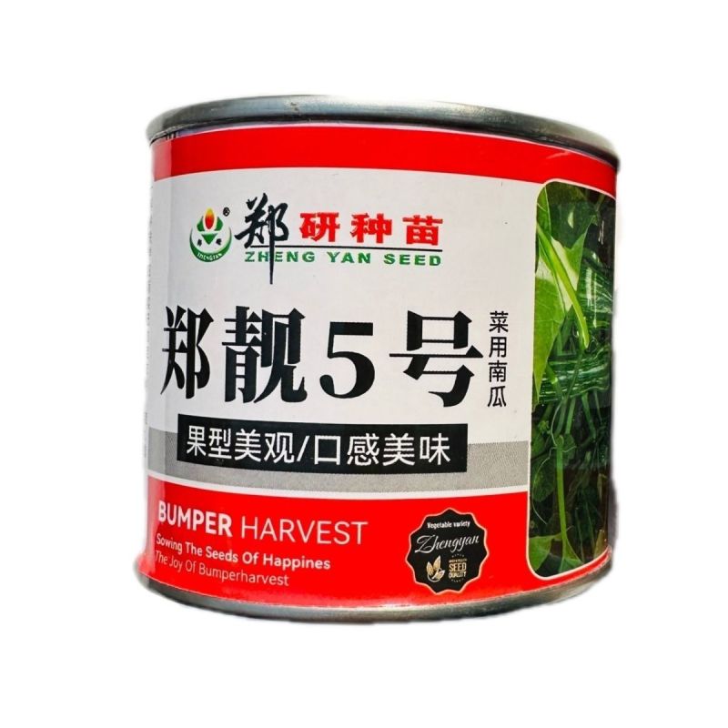 郑靓5号菜用南瓜种子早熟长圆条形南瓜春秋七叶早花皮菜南瓜