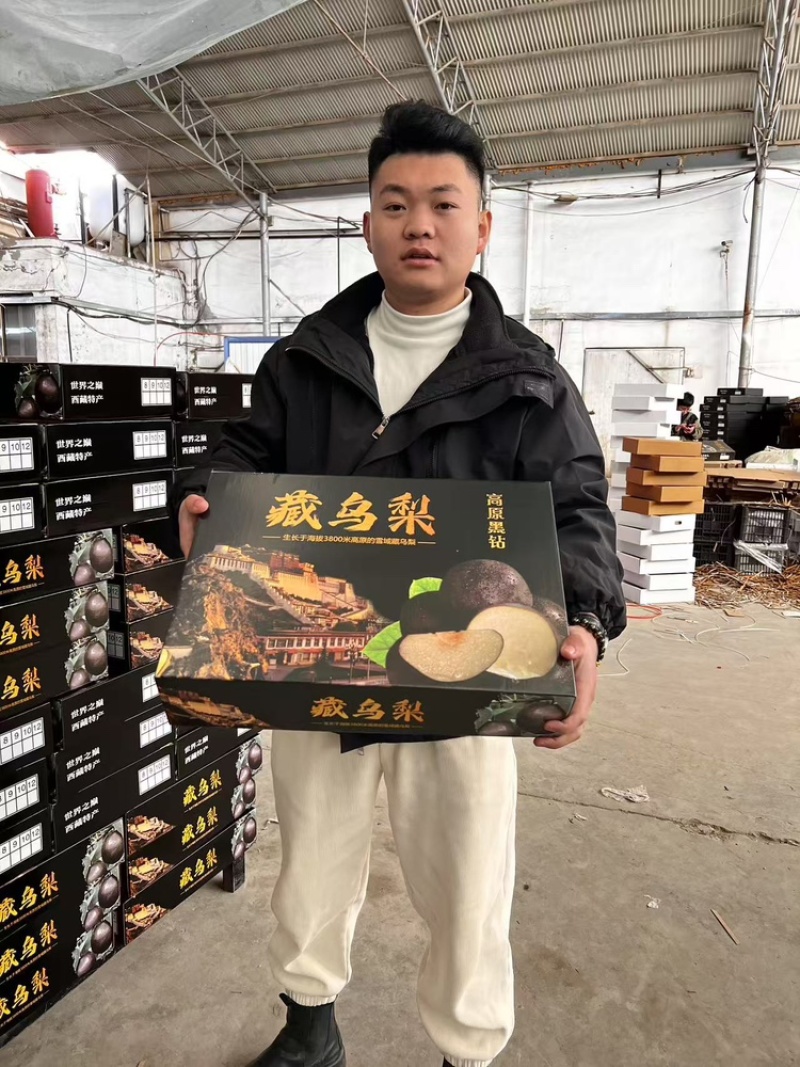 高原藏乌梨精品藏乌梨礼盒、现货供应一手货源、全国接单