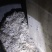 鹅毛