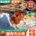 常年供亚布力高山生态鸡纯散养土鸡笨鸡公鸡纯粮喂养包邮