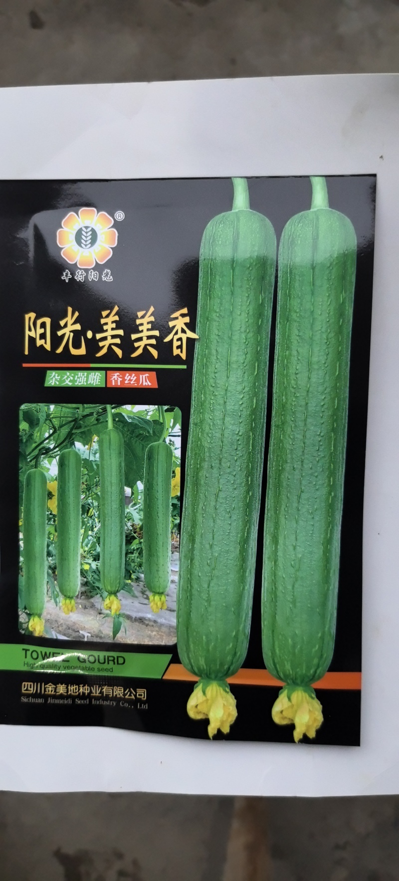丝瓜种子阳光美美香早熟强雌带瓜力强瓜条中长顺直硬度