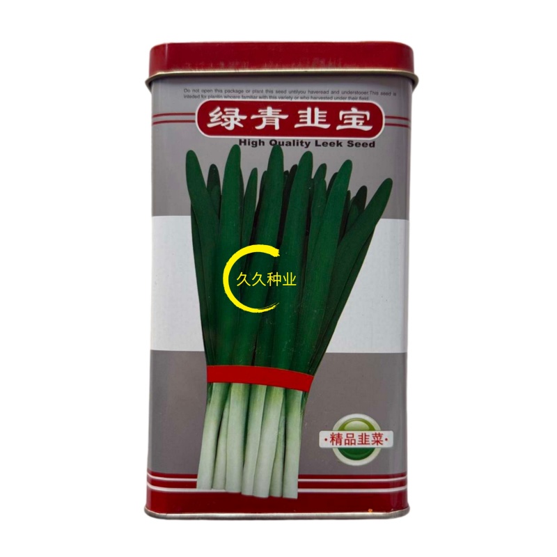绿青韭宝韭菜种子叶色鲜绿茎杆粗浓辣香甜味韭菜籽种抗灰霉病