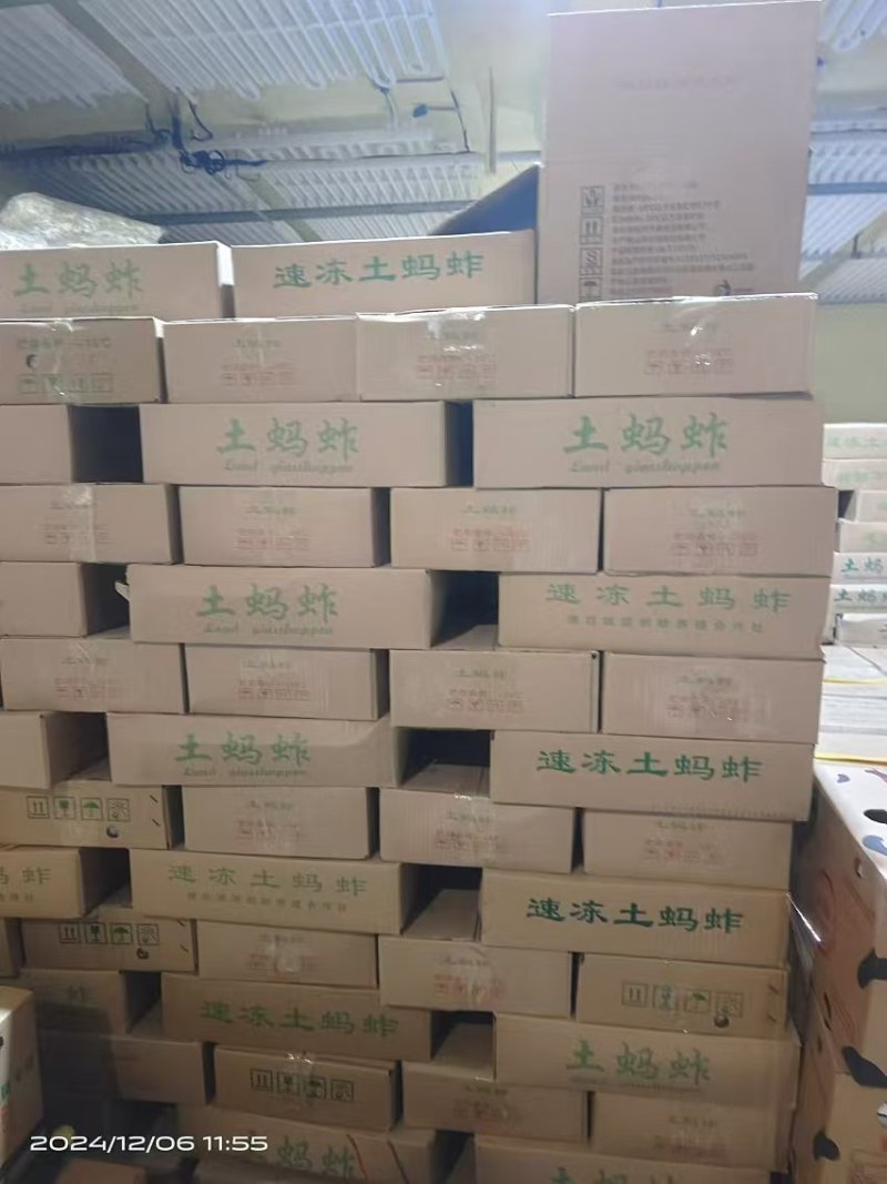 东亚蝗虫