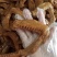 泡椒鸭翅，爽酸个大，肉感好，入口汁香味正，酸香辣脆爽