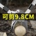 〈包邮〉进口粗枝果树修枝剪树枝剪刀粗枝剪大力剪家用大剪刀
