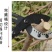 〈包邮〉进口粗枝果树修枝剪树枝剪刀粗枝剪大力剪家用大剪刀