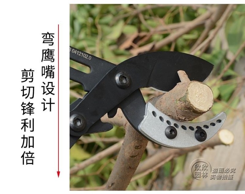 〈包邮〉进口粗枝果树修枝剪树枝剪刀粗枝剪大力剪家用大剪刀