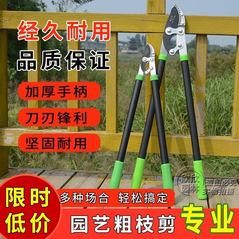 〈包邮〉进口粗枝果树修枝剪树枝剪刀粗枝剪大力剪家用大剪刀