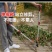 〈包邮〉进口粗枝果树修枝剪树枝剪刀粗枝剪大力剪家用大剪刀