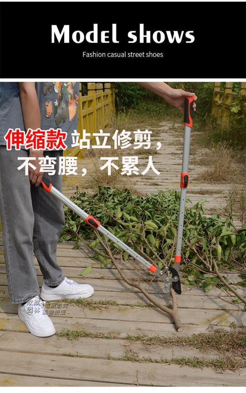 〈包邮〉进口粗枝果树修枝剪树枝剪刀粗枝剪大力剪家用大剪刀