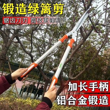 〈包邮〉进口锻造园艺剪家用草坪修剪花草剪修剪树枝绿篱剪粗