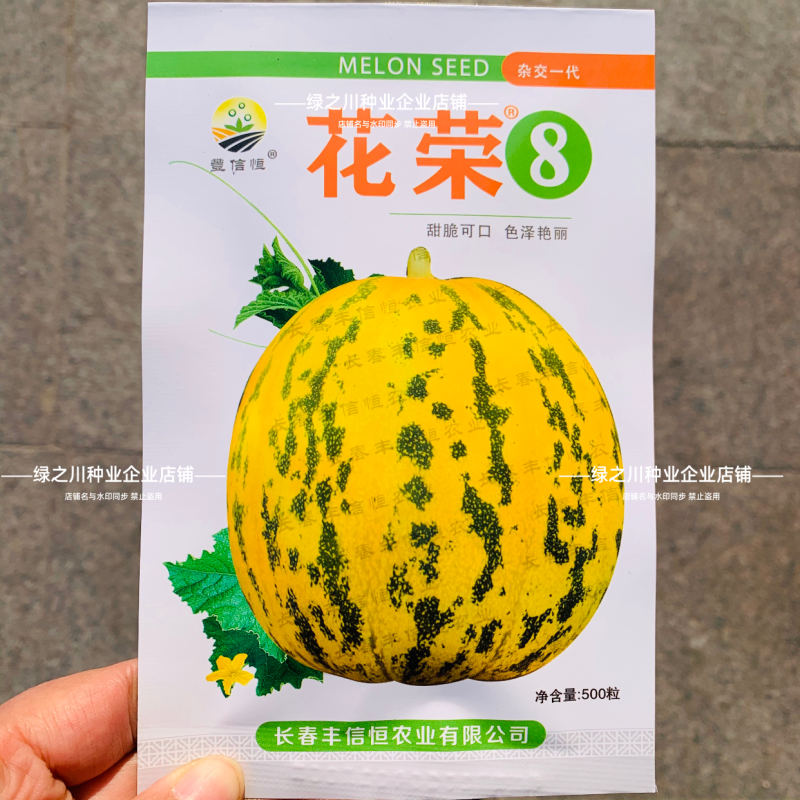 丰信恒花荣8号甜瓜种子特甜八里香甜瓜种子绿肉高糖香瓜种籽