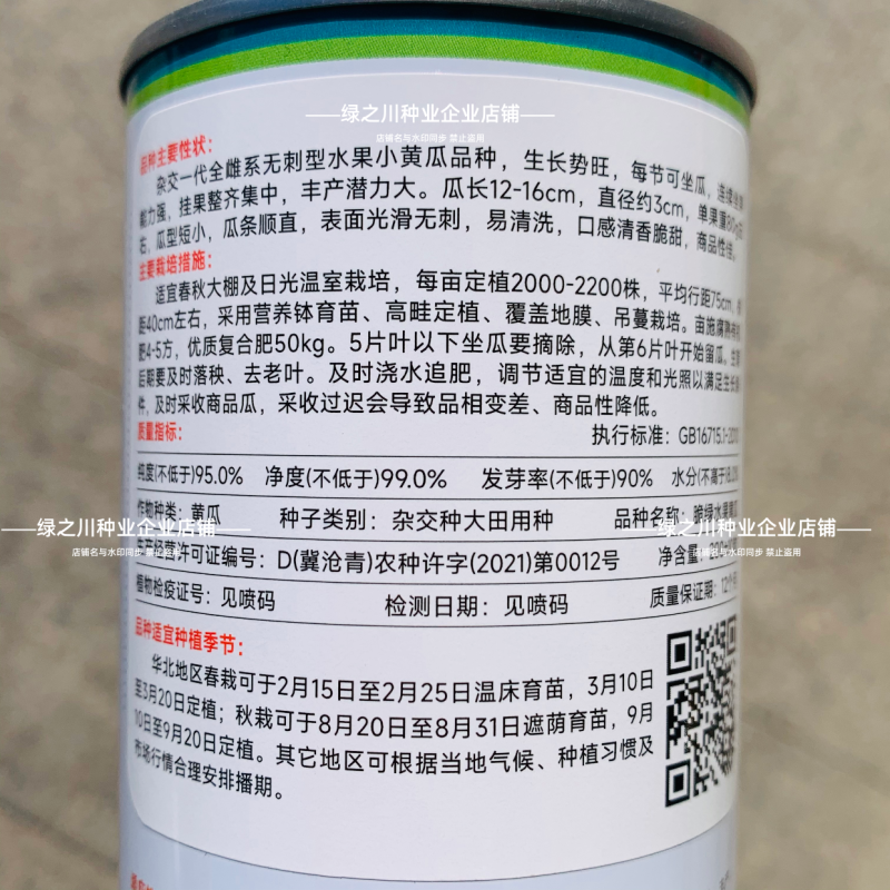 脆绿水果黄瓜种子脆甜清香全雌型光滑无刺荷兰小黄瓜种籽春秋