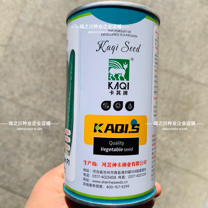 脆绿水果黄瓜种子脆甜清香全雌型光滑无刺荷兰小黄瓜种籽春秋