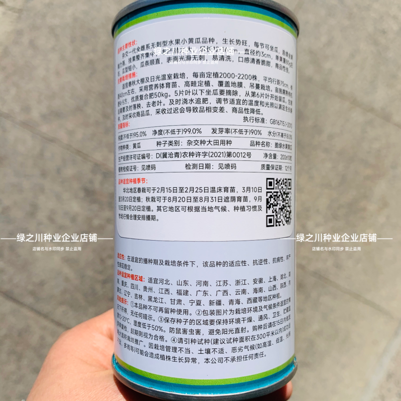 脆绿水果黄瓜种子脆甜清香全雌型光滑无刺荷兰小黄瓜种籽春秋