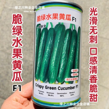 脆绿水果黄瓜种子脆甜清香全雌型光滑无刺荷兰小黄瓜种籽春秋