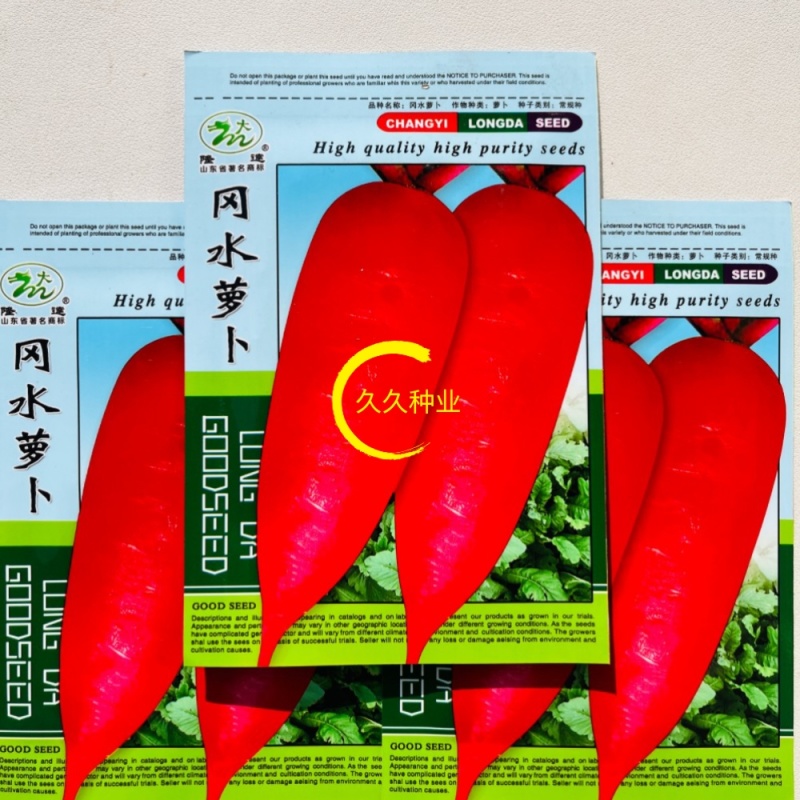 冈水萝卜种子不糠心红皮水果罗卜籽种四季盆栽菜种红蔬菜
