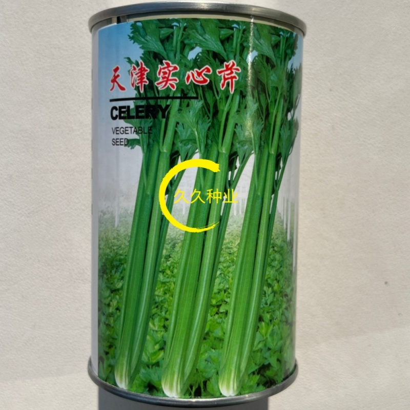天津实心芹菜种子实心味浓香青菜种籽春季秋季夏季四季菜